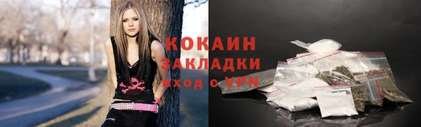 твердый Костерёво