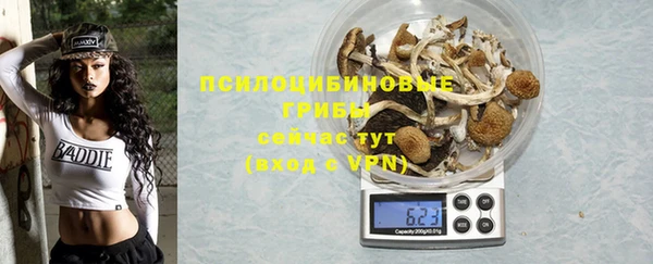 твердый Костерёво
