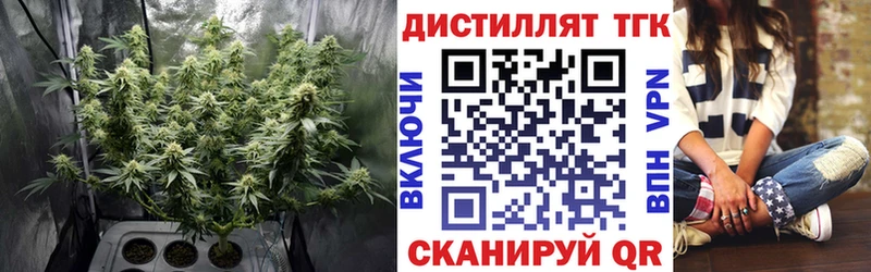 магазин  наркотиков  Мытищи  гидра ТОР  ТГК концентрат 