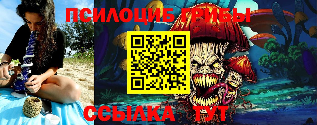 Мытищи  Галлюциногенные грибы GOLDEN TEACHER  Вход с VPN 