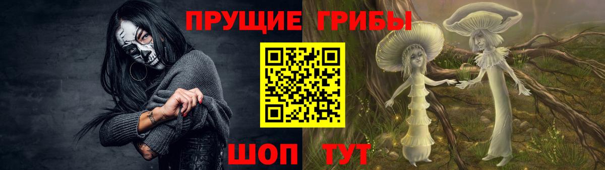 Галлюциногенные грибы Мытищи