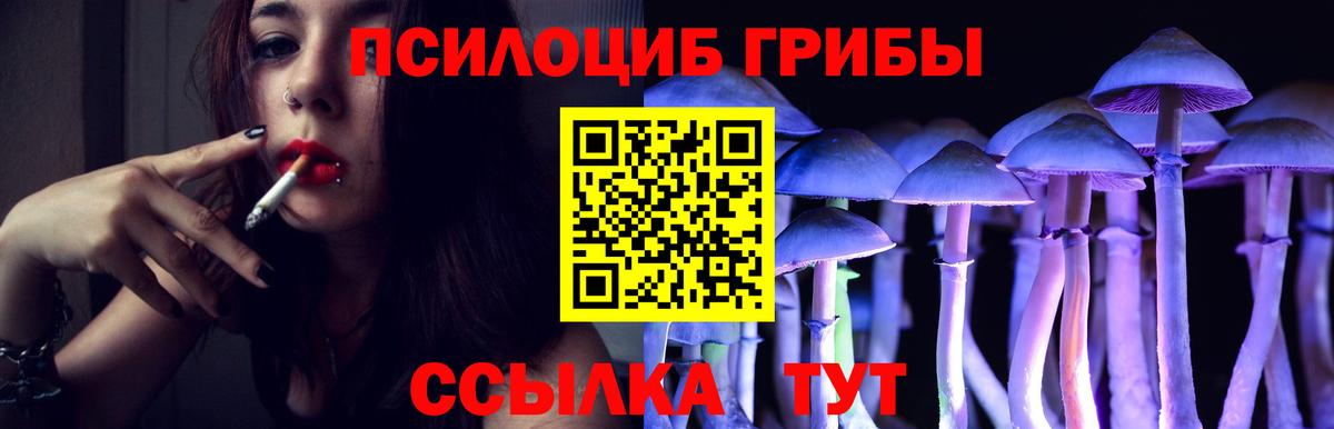 Псилоцибиновые грибы MAGIC MUSHROOMS Мытищи